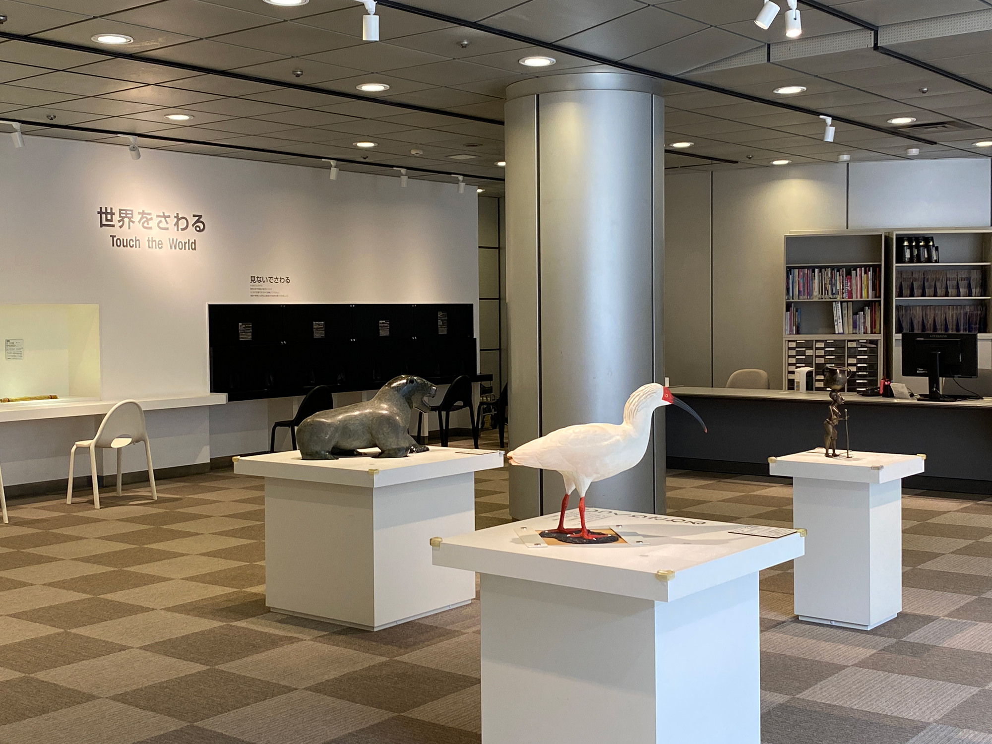 展示資料が並ぶ「世界をさわる」コーナーの風景