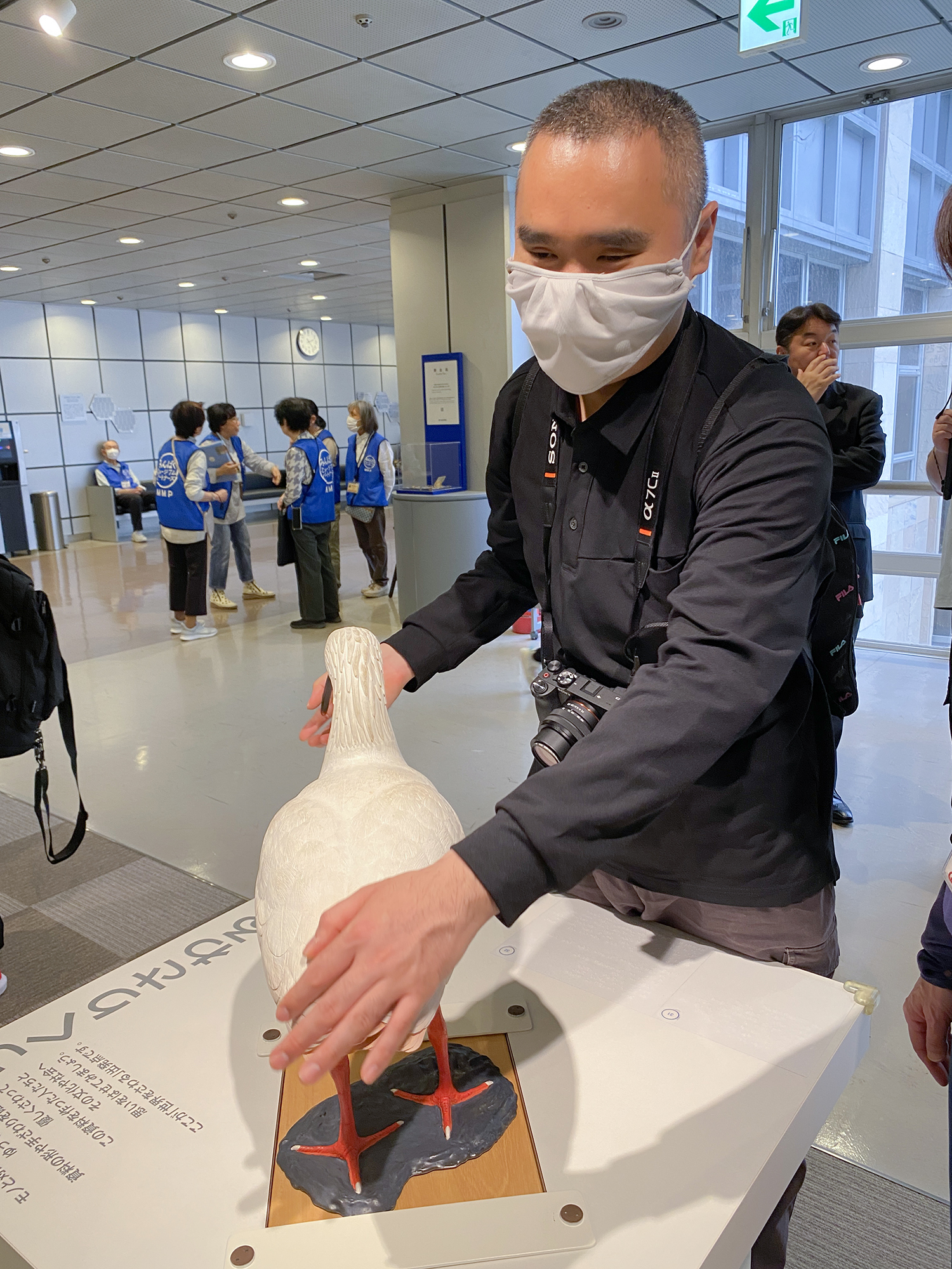 木で彫られた実物大のトキに触れ、羽や体の大きさを丁寧に確かめる濱崎さん。