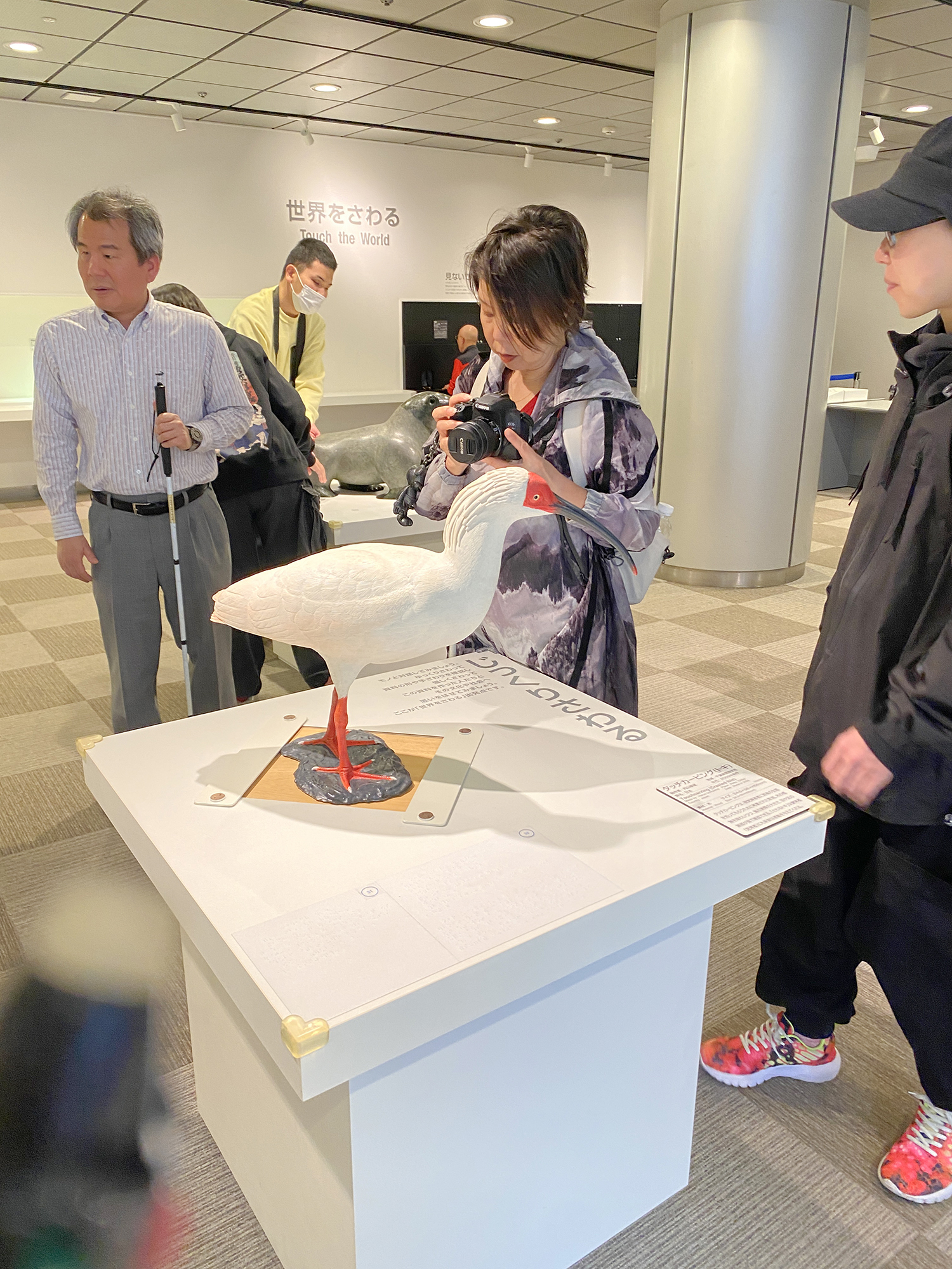 実物大のトキの像に近づき、カメラを構える竹田さん。