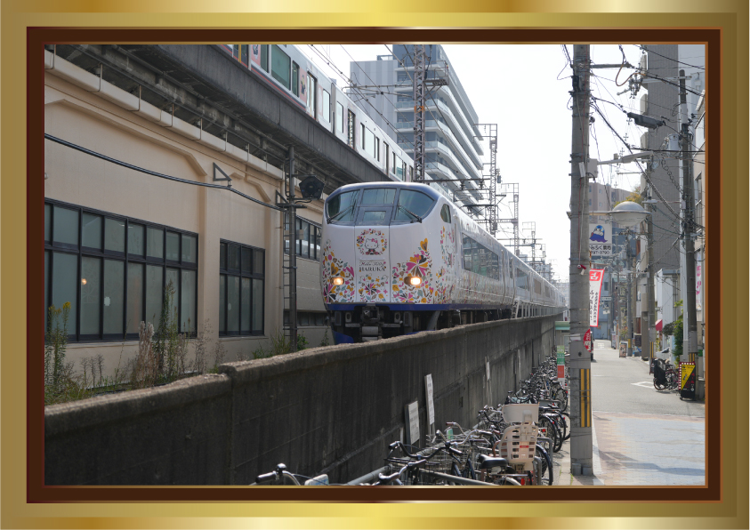ハローキティラッピングの特急「はるか」をJR福島駅近くで撮影した作品